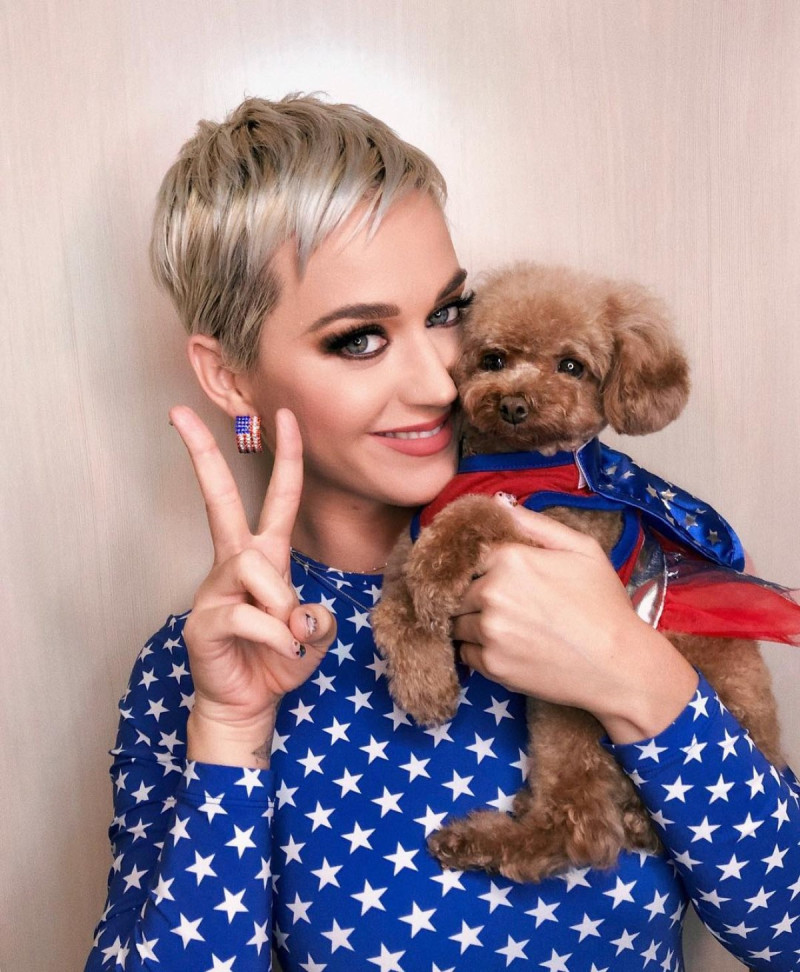 Katy Perry y su mascota.