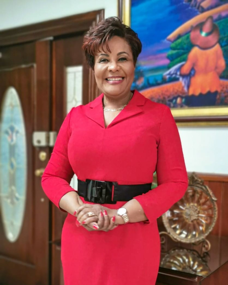 Superintendente de Seguros, Josefa Castillo