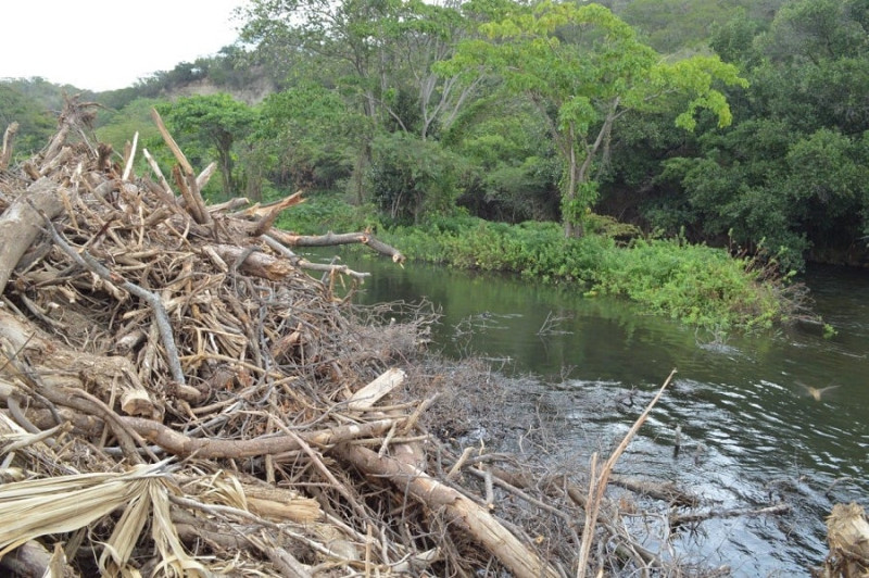 La creación de mesas de trabajo de coordinación mutua entre el Ministerio Público Ambiental y las alcaldías ha permitido la recuperación de muchísimas áreas verdes, arroyos y ríos, dice Contreras.  Proedemaren