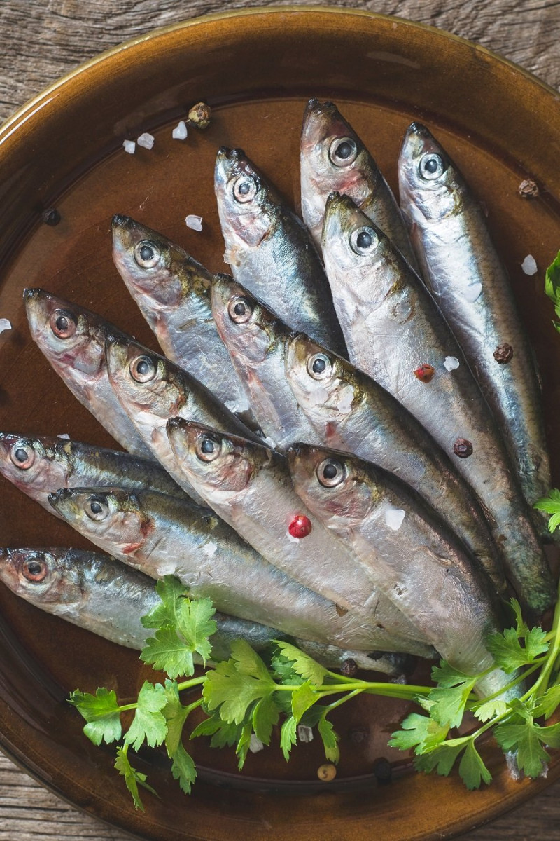 5.-Las sardinas son saludasbles, tanto frescas como enlatadas (foto IMEO)
