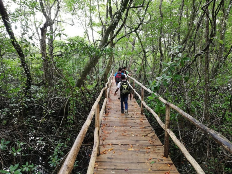 Sendero en los manglares de Las Garitas, Samaná. Seacology