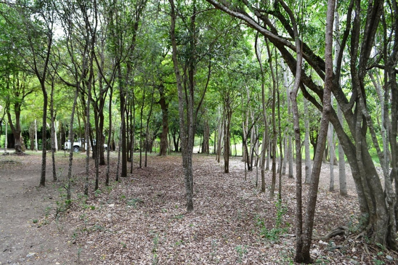 Los visitantes disponen de 9 kilómetros para hacer senderismo, montar bicicletas y observar aves.  Yaniris López / LD