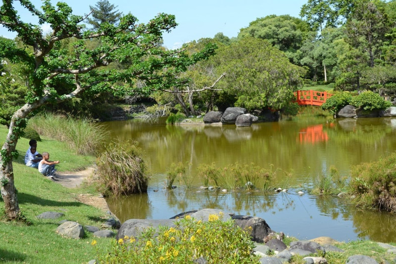 El jardín japonés, uno de los espacios favoritos de los visitantes al JBN. © Yaniris López / LD