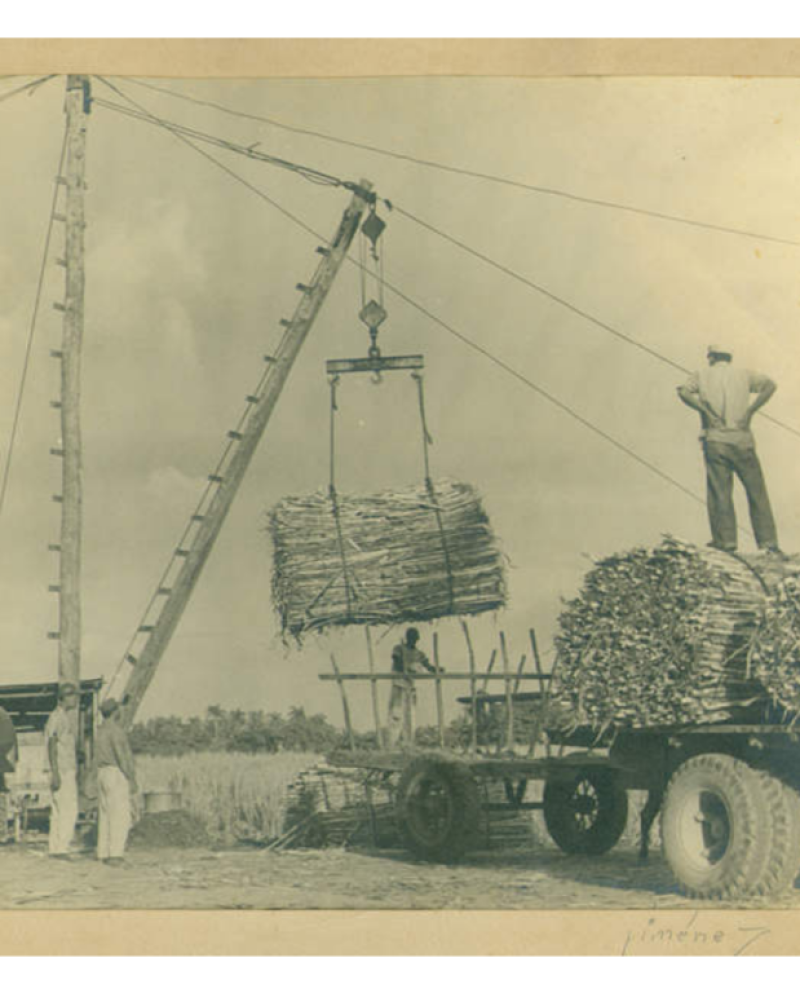 Ingenio Monte Llano a inicios del siglo 20, donde los obreros cargaban con grúas la caña de azúcar para subir al camión.