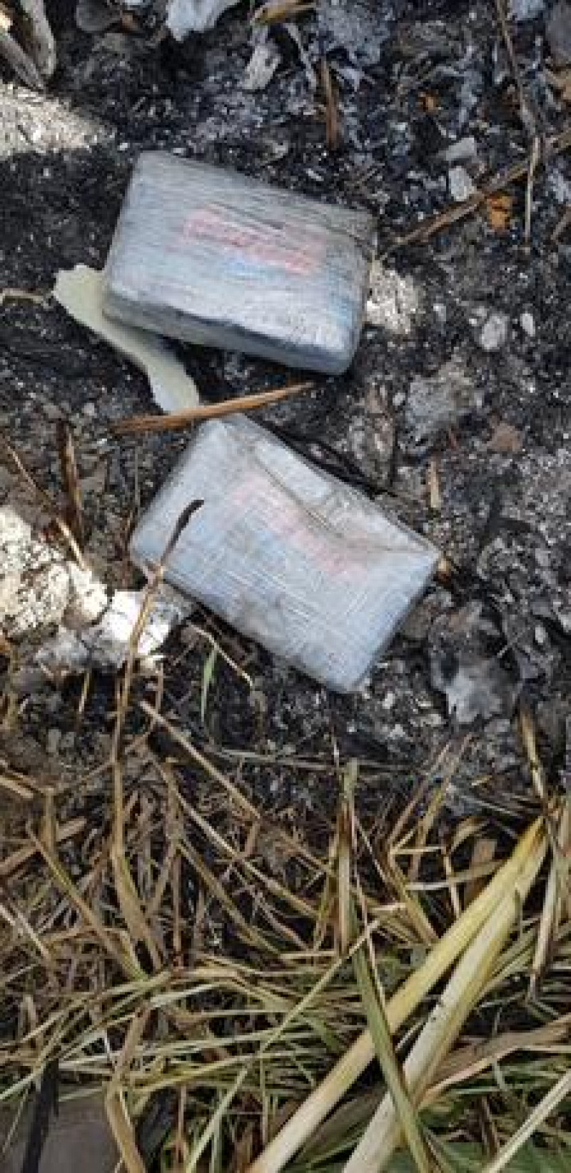 3 de diciembre de 2019. Varios paquetes, presumiblemente de drogas, encontrados en donde se estrelló avioneta en un cañaveral de Monserrate, Tamayo (Bahoruco).