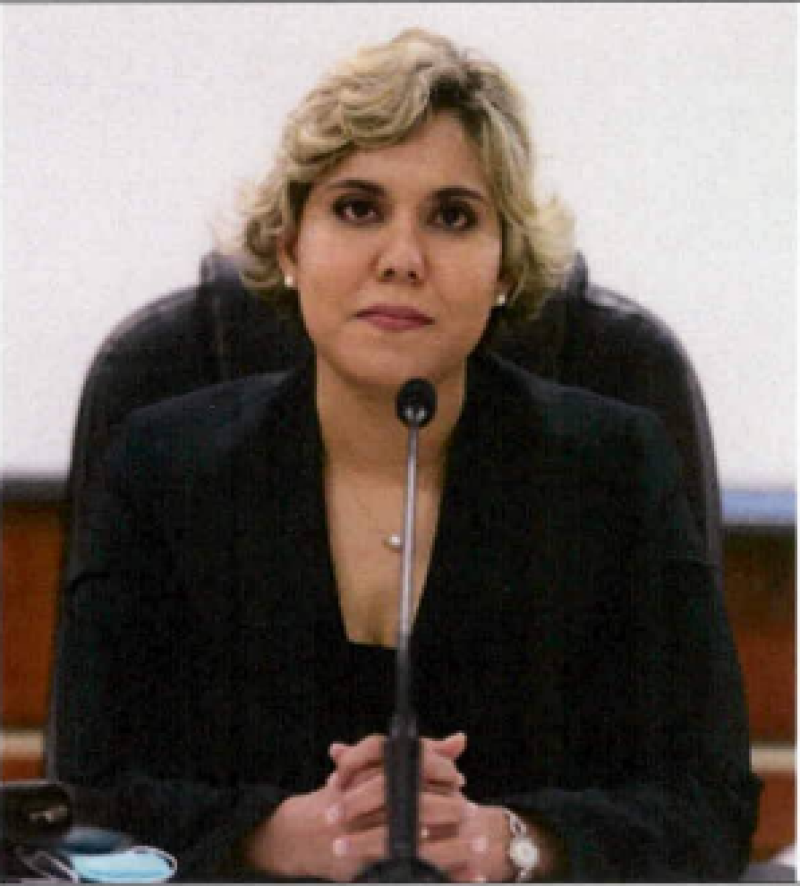 María Elena Vásquez, hija del actual minitro de Interior y Policía. / Foto: Cámara de Diputados