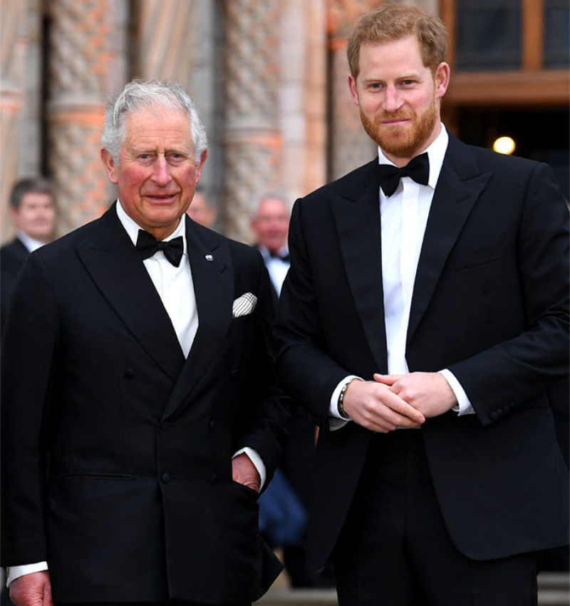El principe Carlos y su hijo Harry.