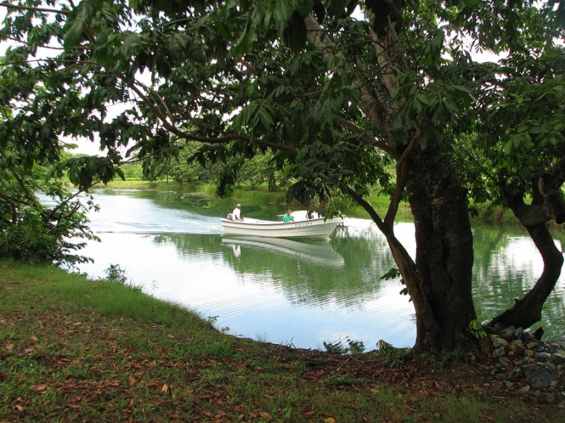 Laguna Manatí. El viaje más cercano es un recorrido por los 1.5 kilómetros navegables de esta laguna ubicada al norte de La Victoria (Santo Domingo Norte). Visitarla es la mejor manera de exigir su remozamiento para que recupere su verde esplendor.   Yaniris López / LD