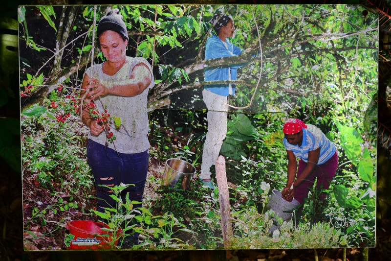 Las mujeres de la muestra, explica Fernández, integran proyectos que se desarrollan en la loma en toda la provincia.  Raúl Asencio / LD