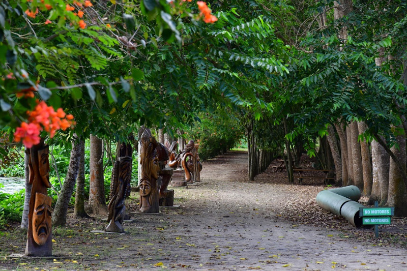 El paseo de las esculturas de Wandy Casilla. Salcedo tiene una tradición cultural maravillosa. La provincia tiene muchas raíces culturales. Lo que hemos hecho es seguir tallando el camino, con una visión más amplia, dice Yineida Fernández.  Raúl Asencio / LD