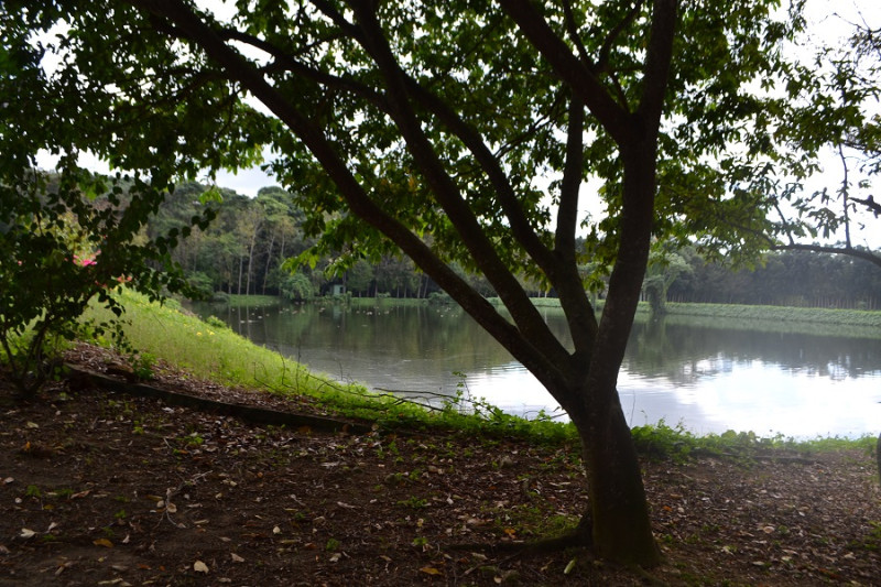 Un buen lugar para los amantes de la fotografía.  Yaniris López / LD