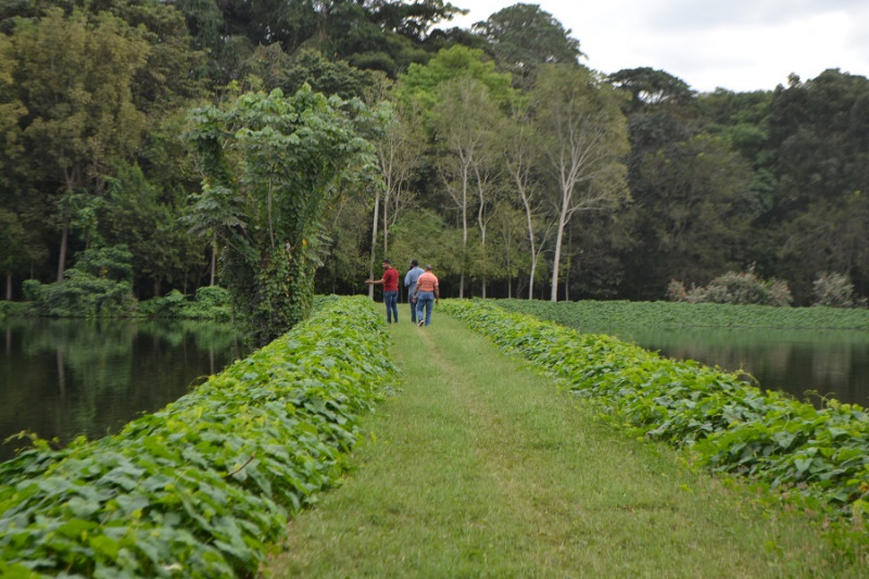 Los verdes senderos entre los lagos invita a la exploración y el senderismo.  Yaniris López / LD