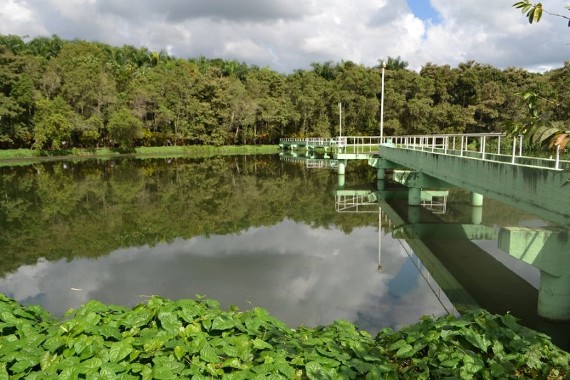 Lagos de Clavijo, primera planta de tratamiento de aguas residuales del país que se convierte en un bosque.  Yaniris López / LD