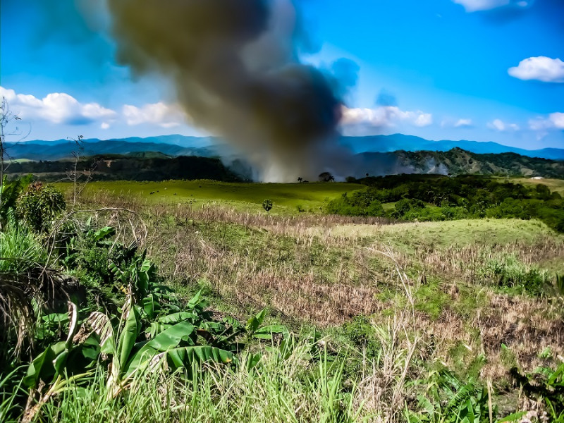 El hecho de que ocurran menos fuegos en la región Este, explica Abreu, tiene que ver con el factor detonante que lleva el fuego al bosque.