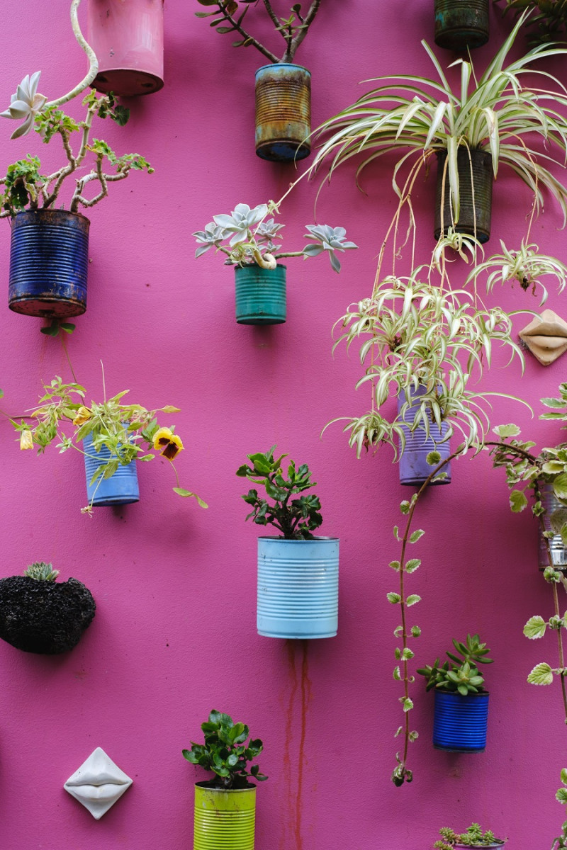 Para plantar. Nunca serán suficientes las macetas para quienes les gustan las plantas. Un poco de color a las latas y estas aportarán alegría dondequiera que las coloques.