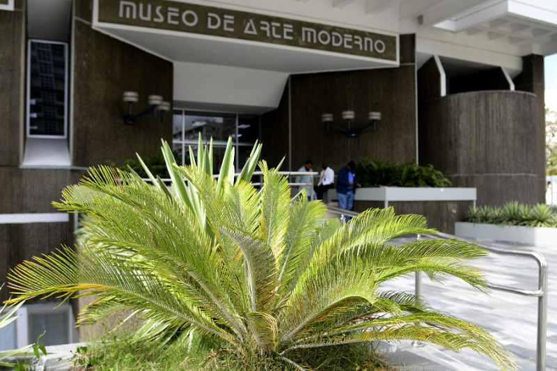 A las cicas de las jardineras del Museo de Arte Moderno les cayó "escama de nieve". FOTO: José Alberto Maldonado/LD