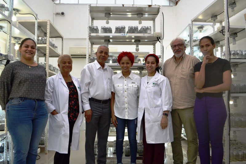 Equipo. Fátima de los Santos, asistente del director del JBN; Victoria Vásquez, técnico de cultivo in vitro; Pedro Suárez, director del JBN; Yuraisy Rodríguez, técnico de cultivo in vitro (estudiante de Agronomía); Francis Claritza Grullón, técnico de cultivo in vitro (estudiante de Biología); Francisco Jiménez, subdirector del JBN; y la bióloga Betsaida Cabrera, técnico de producción y manejo de semillas.  Yaniris López/LD
