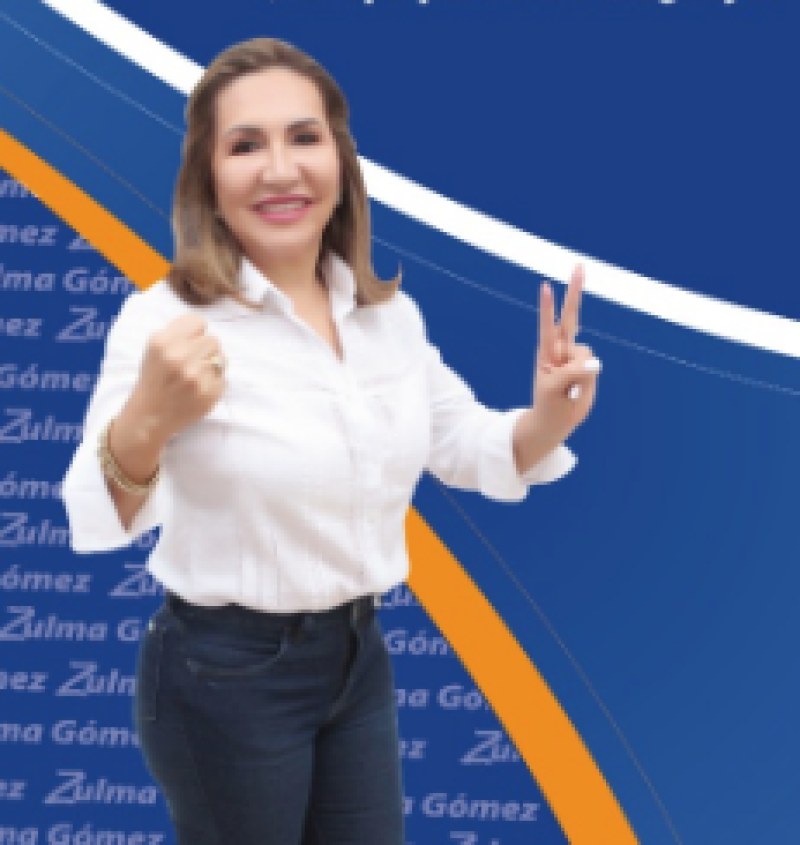 Zulma Gómez, senadora paraguaya. Fotografía tomada de su cuenta de Twitter (@zulmagomezc)