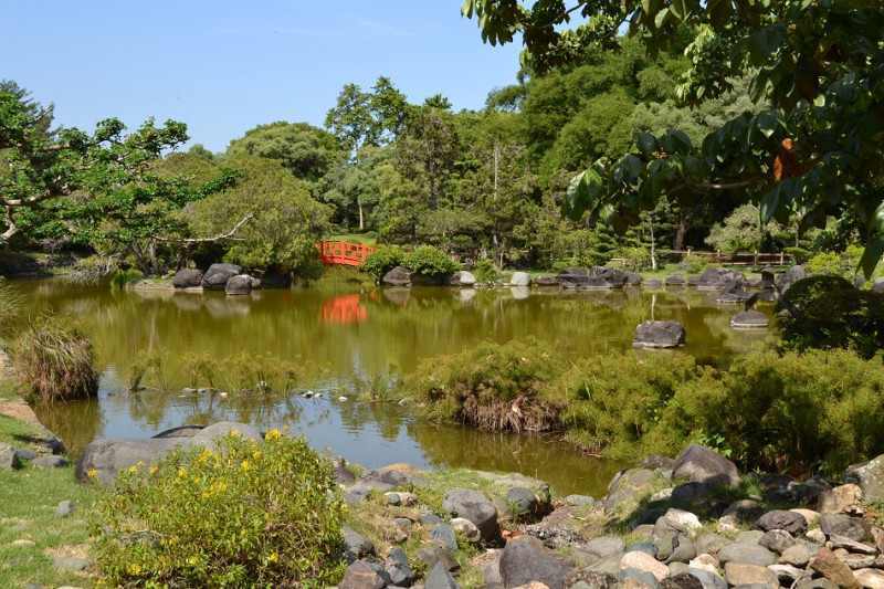 Jardín japonés. Yaniris López / LD