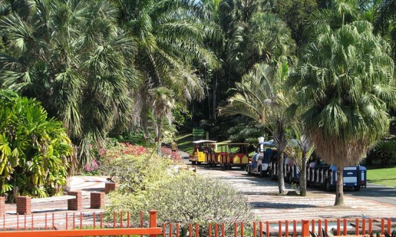 Parada del tren. Yaniris López / LD