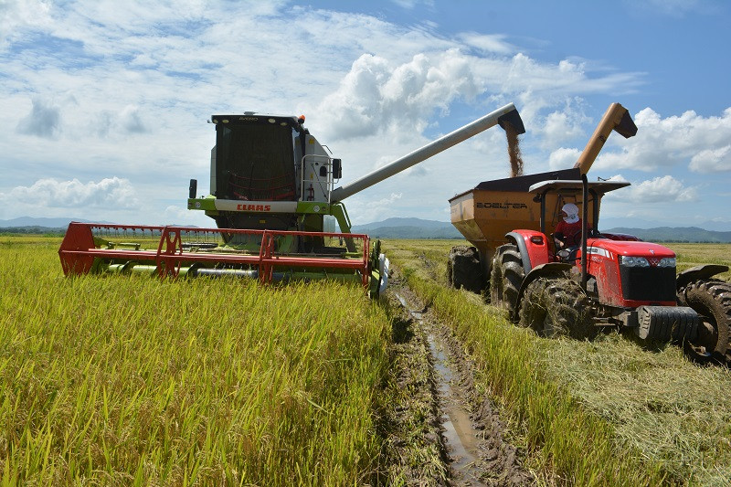 Productores sugieren mantener subsidio a los fertilizantes y a los cosecheros. Archivo