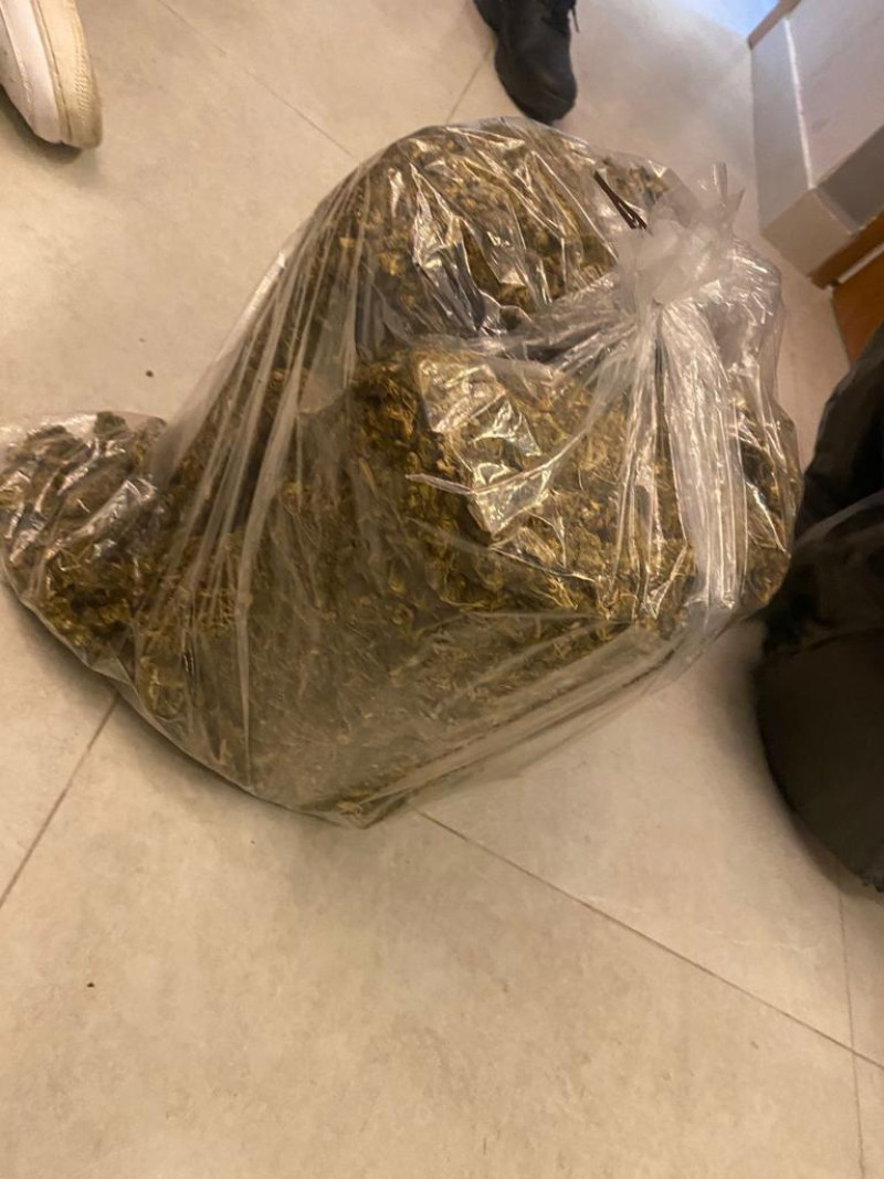 Desarticulan otra red de microtráfico; hay ocho detenidos y más de 12,900 gramos de marihuana.

Fotos: DNCD