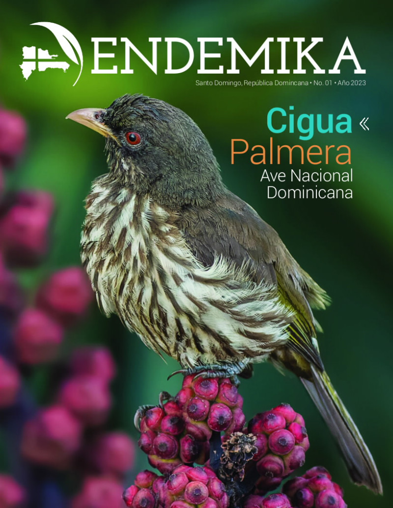 Dulus dominicus. El ave nacional en la portada de la primera edición de la revista dominicana.