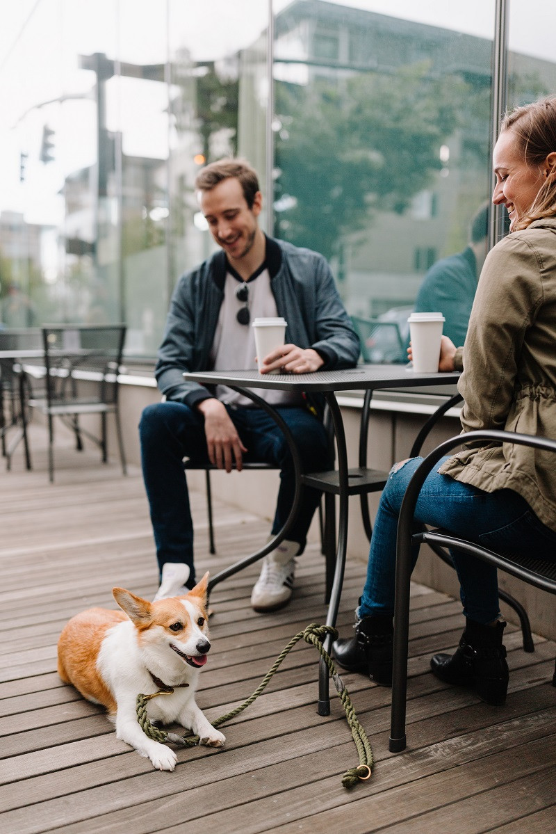 La primera cita puede deparar sorpresas agradables. Foto: Chewy/Unsplash.