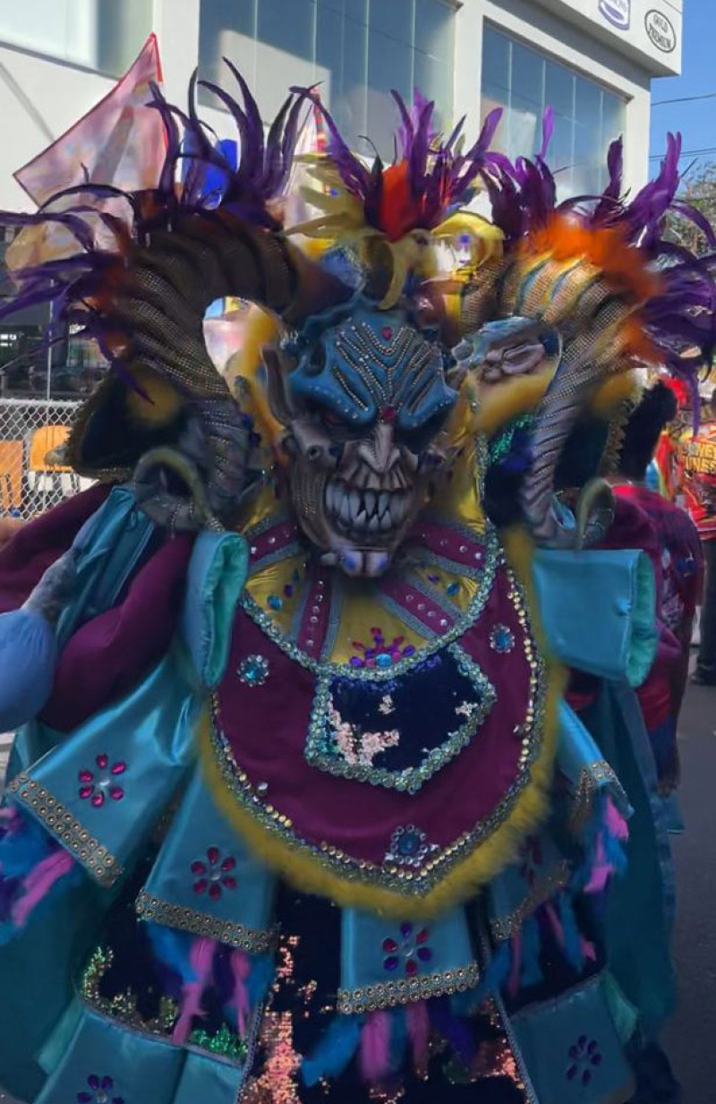 El Carnaval se celebró ayer en La Vega. /Externa