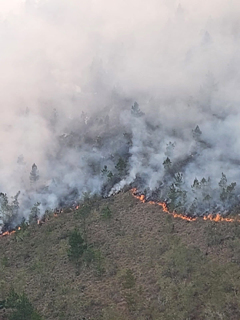 Fotografía del Ministerio de Medio Ambiente muestra el fuego y la humareda generada por el incendio.