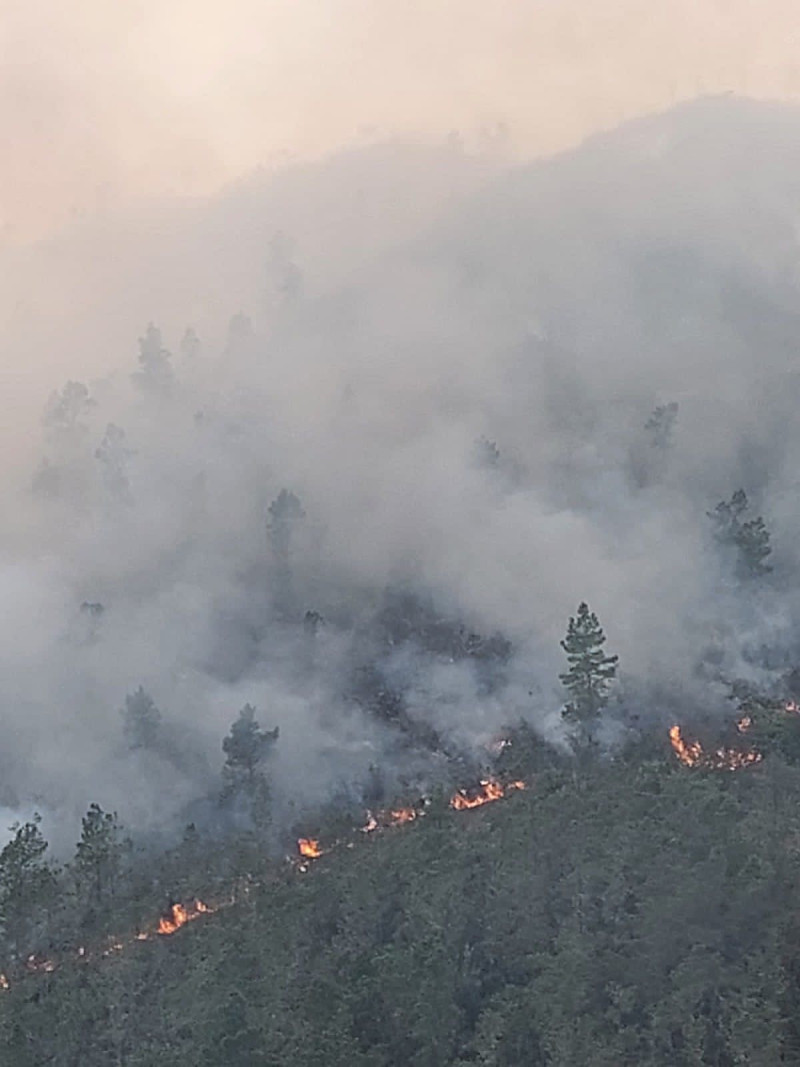Incendio forestal en Valle Nuevo.