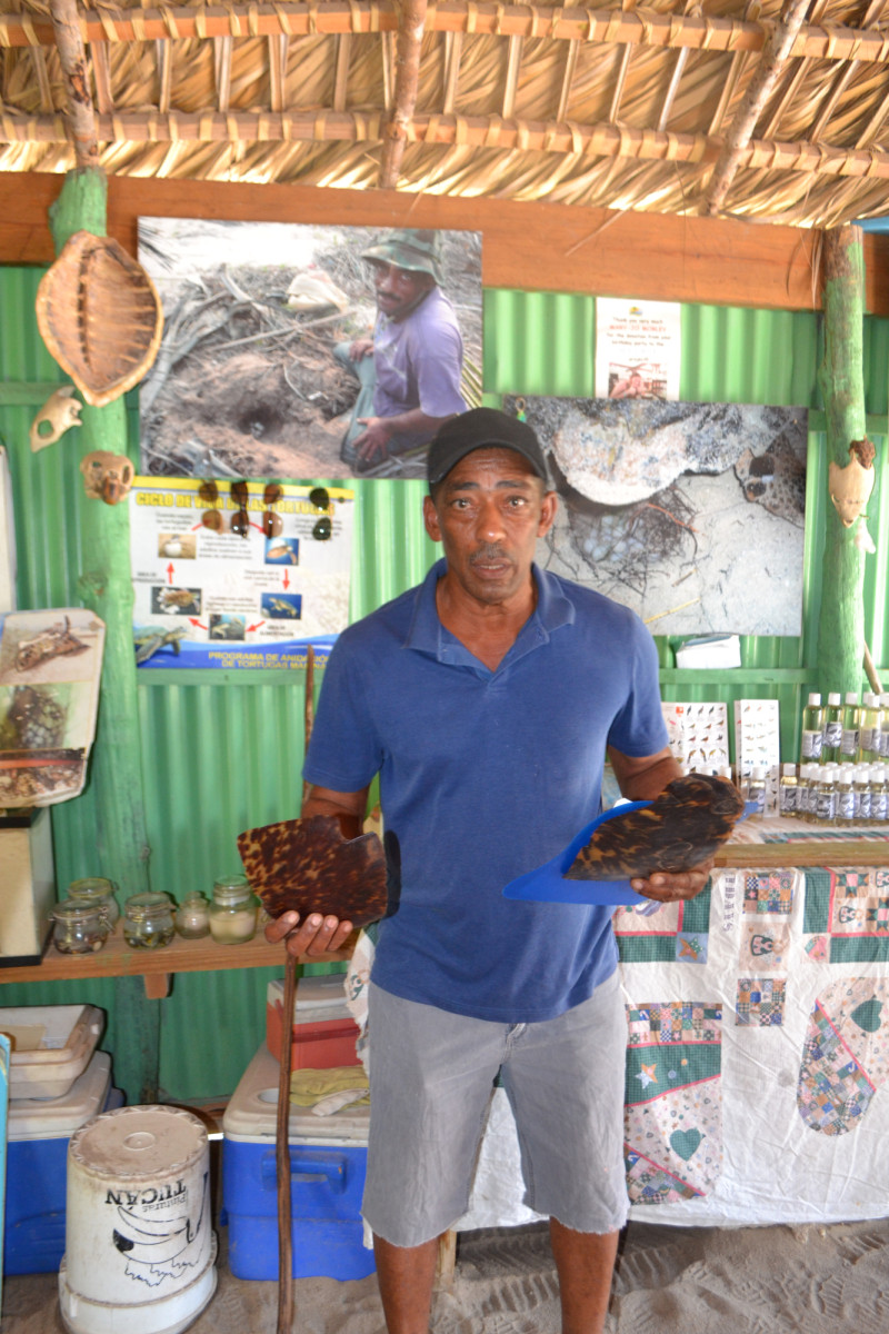 Las tortugas siempre han sido un gran comercio, dice Negro. Los que más participaban de este comercio eran los asiáticos.  Yaniris López / LD