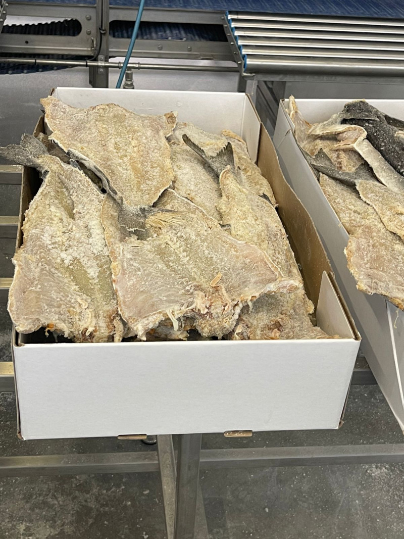 El bacalao ya empacado, en la imagen se muestra una caja de 25 kilos. De este tamaño son las enviadas a República Dominicana. Foto: Coralis Orbe.