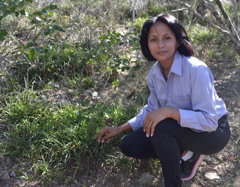 Yuraisy Rodríguez junto a una población de Tetramicra canaliculata. Yaniris López/LD