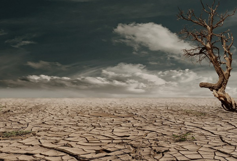 Sequía. Imagen ilustrativa. Pexels