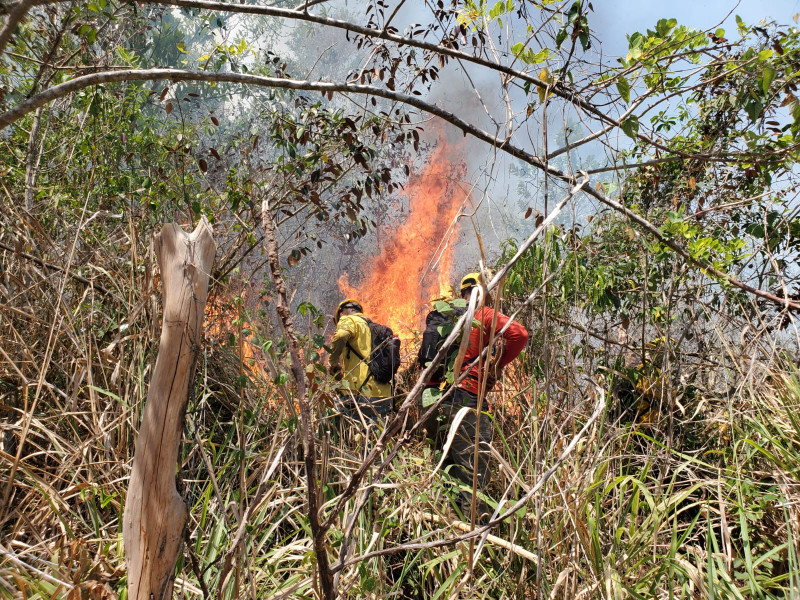 Dos bomberos forestales se enfrentan a las llamas de un incendio forestal en Guaiguí, La Vega.