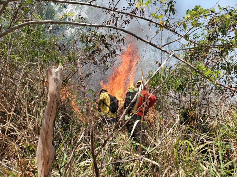 Dos bomberos forestales se enfrentan a las llamas de un incendio forestal en Guaigui, La Vega.