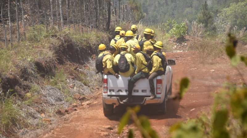 Un grupo de bomberos forestales de la Brigada Norte, de La Vega, se traslada en uno de sus vehículos en dirección a una montaña para contrarrestar un siniestro.