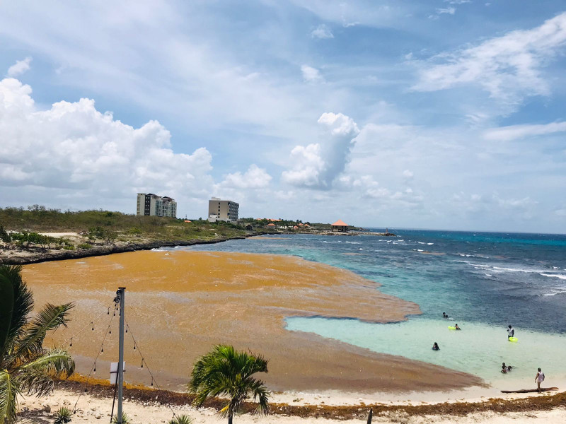Una playa de República Dominicana con sargazo