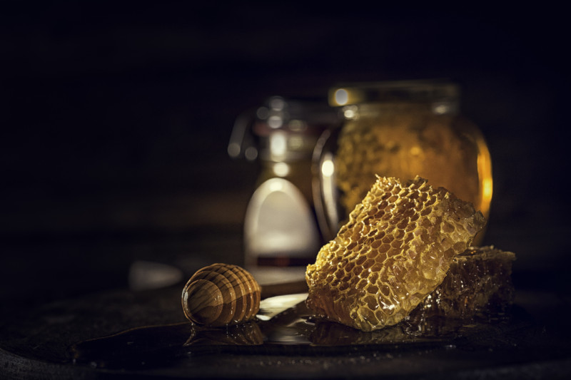 Día Mundial de las Abejas 2023 en RD