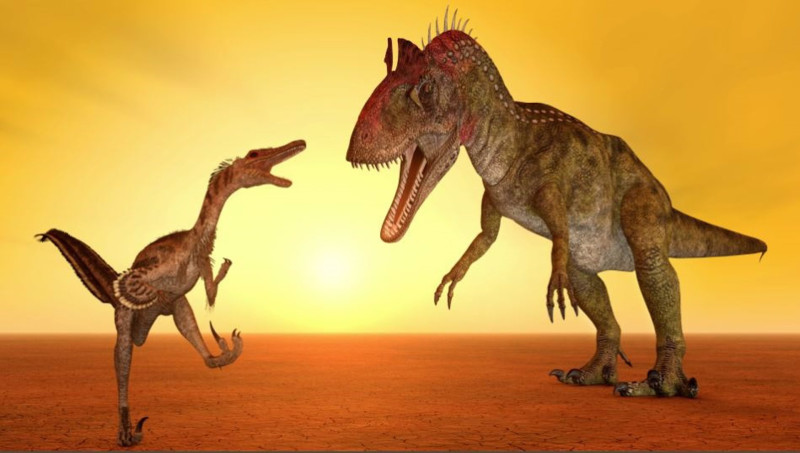 Los dinosaurios fueron pioneros en entender la perspectiva de los demás.

Una investigación de la Universidad de Lund sugiere que la habilidad de entender las perspectivas de los demás surgió en los dinosaurios, 60 millones de años antes que en los mamíferos.

POLITICA INVESTIGACIÓN Y TECNOLOGÍA
MICHAEL ROSSKOTHEN/MOSTPHOTOS