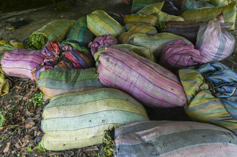 Sacos con hojas de coca en un laboratorio de pasta de coca cerca del municipio de Olaya Herrera, departamento de Nariño, Colombia