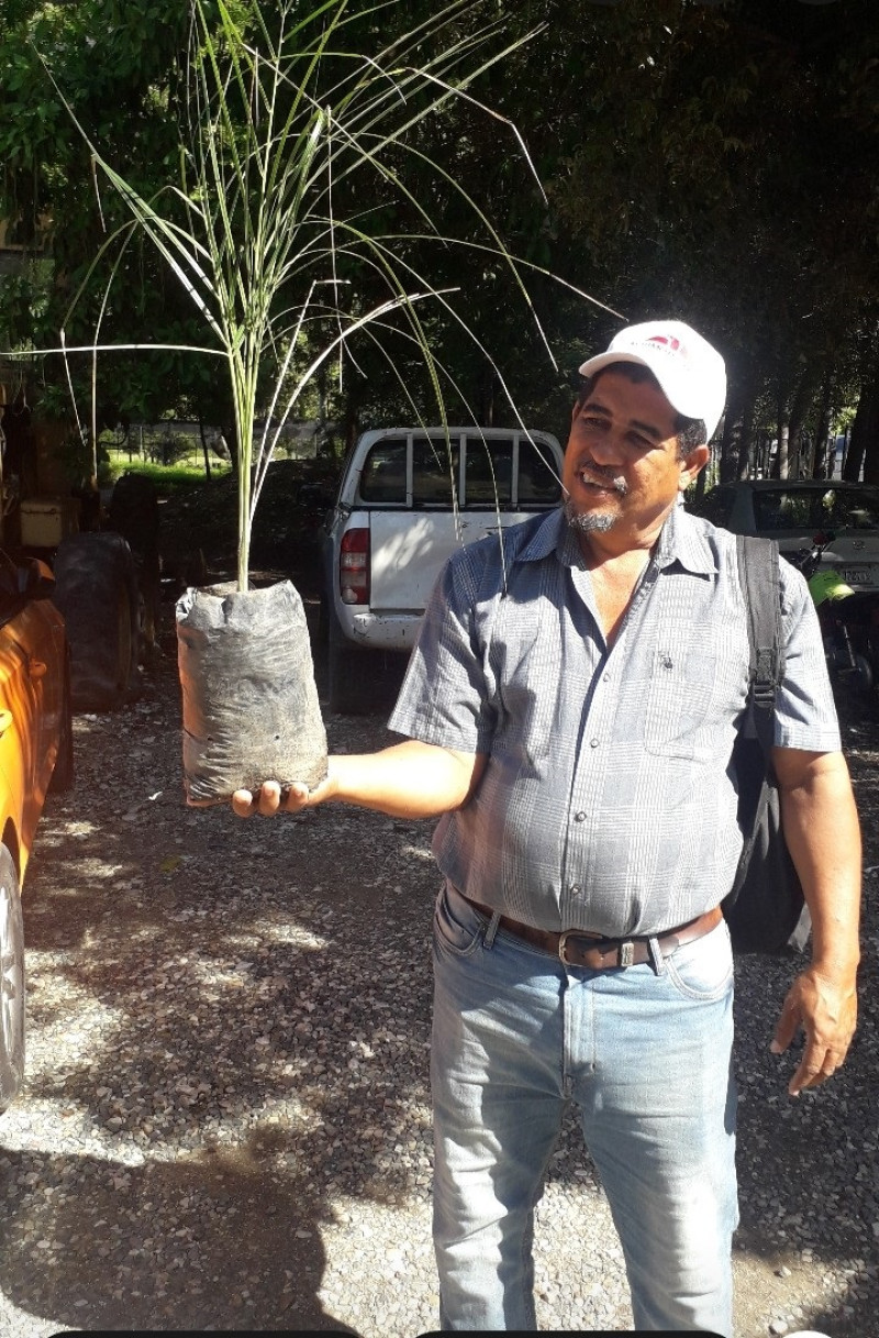 Obispo Familia, técnico de protección ambiental de la Dirección de Medio Ambiente de Azua, muestra un ejemplar de cacheo de ocho años.