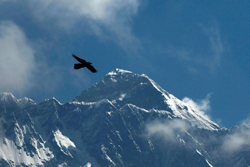 Un pájaro vuela con el Monte Everest visto al fondo desde Namche Bajar, distrito de Solukhumbu, Nepal.