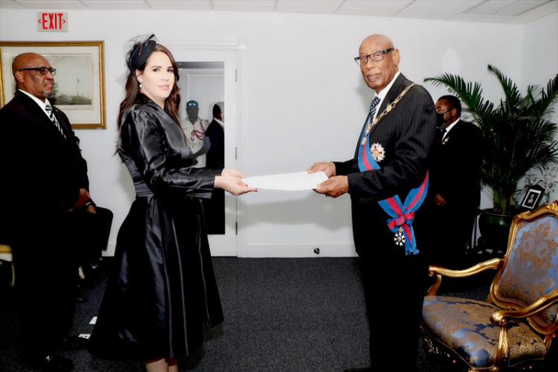 En el 2022 resultó ganadora de la trigésimo quinta entrega de los Premios a la Excelencia de la Asociación Dominicana de Exportadores (Adoexpo), en la categoría "Embajadora Destacada 2021-2022", "por su liderazgo y demostrado compromiso en dinamizar y seguir fortaleciendo las relaciones comerciales y diplomáticas entre la República Dominicana y Jamaica.