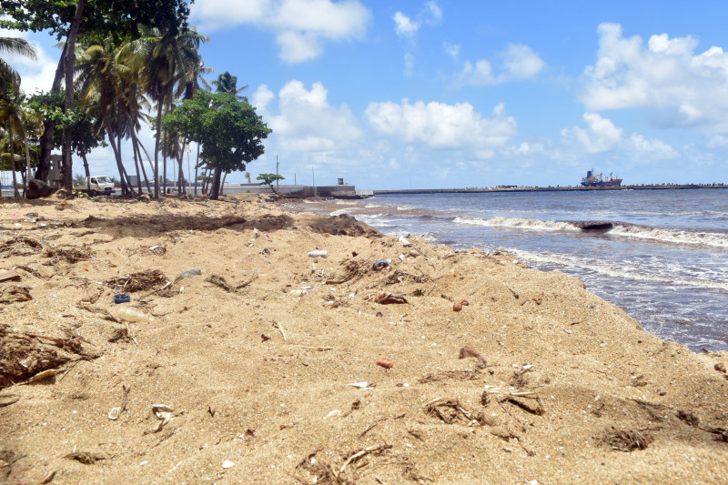 Playa Montesinos se visualiza más limpia.