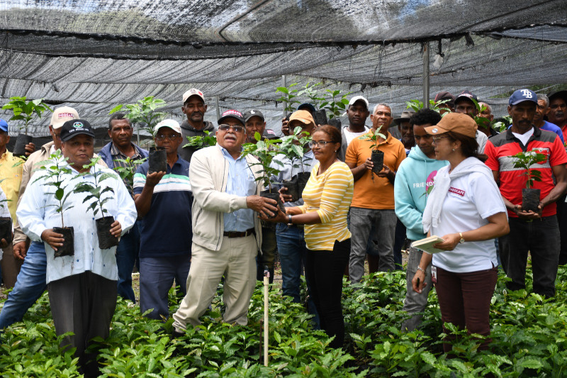 El operativo de entrega de plantas para la siembra de café fue encabezado por Leónidas Batista Díaz y el equipo técnico de Indocafé.