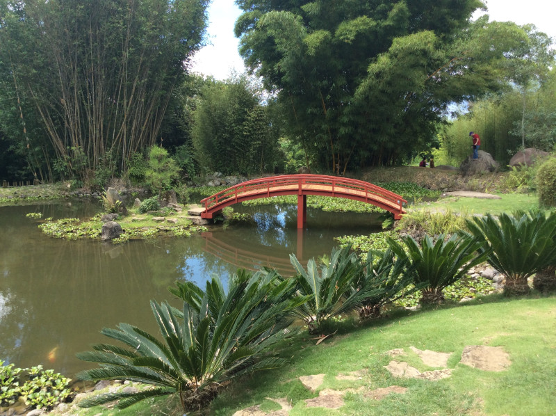 Jardín japonés en el Jardín Botánico Lankester.