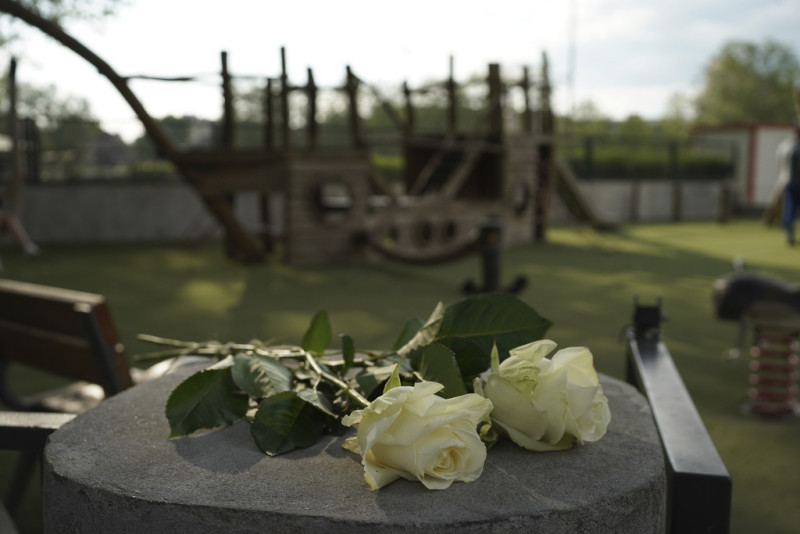 Varias rosas, en un parque donde se registró un ataque con un arma blanca, el 8 de junio de 2023 en Annecy, en los Alpes franceses.