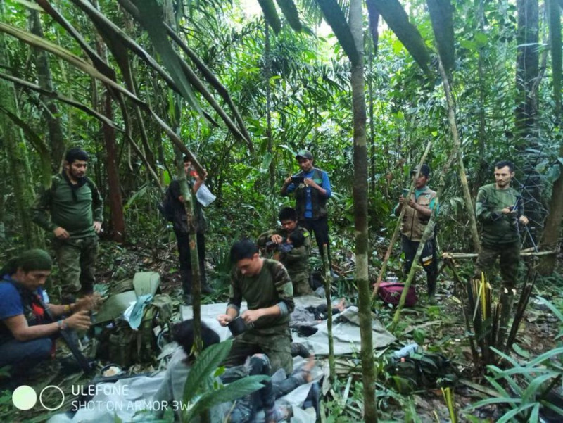 Cinco claves para comprender la hazaña de supervivencia de los niños en la  selva de Colombia